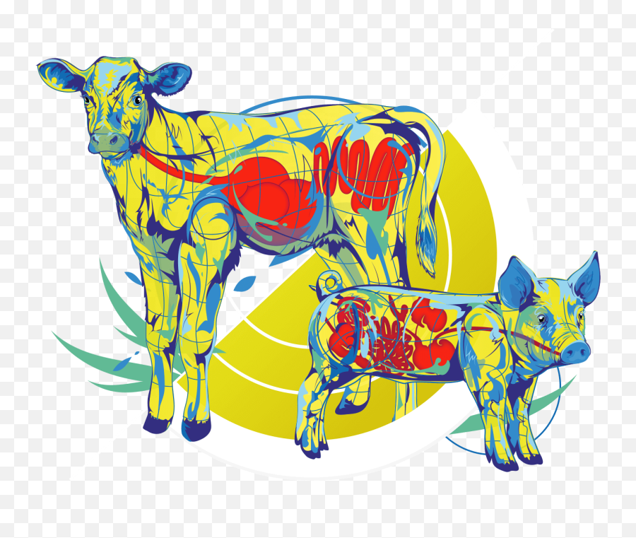 Young Animal Nutrition - Ew Nutrition Animal Figure Png,Animal Feed Icon