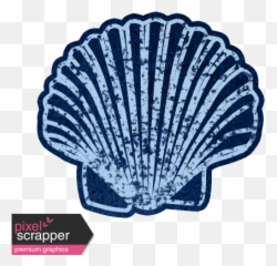 Oceanside Blue Shell Graphic By Marisa Lerin Pixel - Scallop Png,Blue Shell Png
