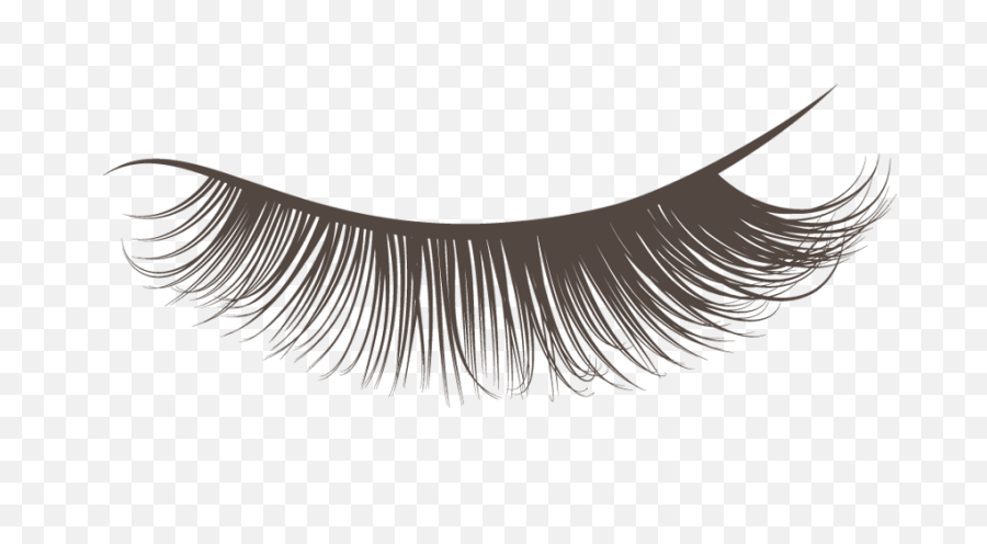 Download Hd Closed Eyelashes Png - Transparent Background Lash Clipart,Eyelashes Transparent Background