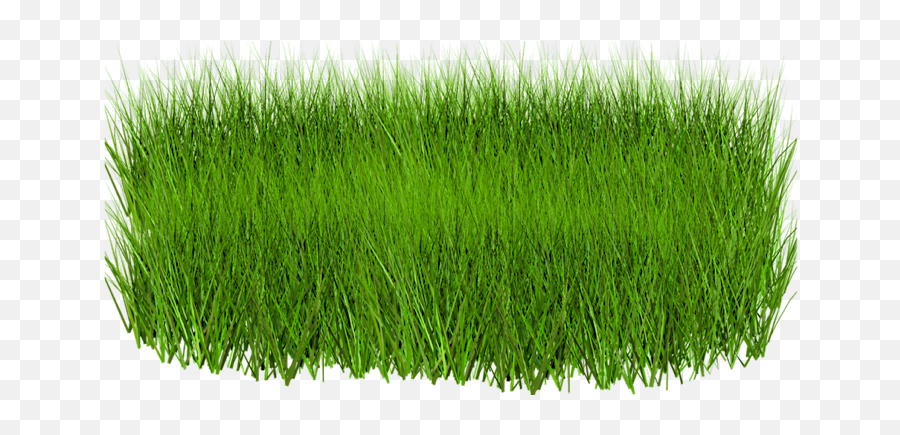 Grass Png Images Pictures - Grass From Above Png,Grass Top View Png