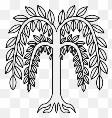 Willow - Willow Heraldry Png,Willow Tree Png