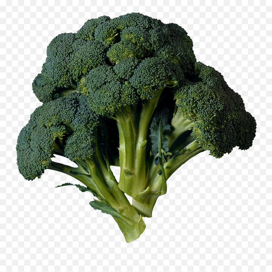 Green Clipart Brocolli - Broccoli Transparent Png,Brocolli Png
