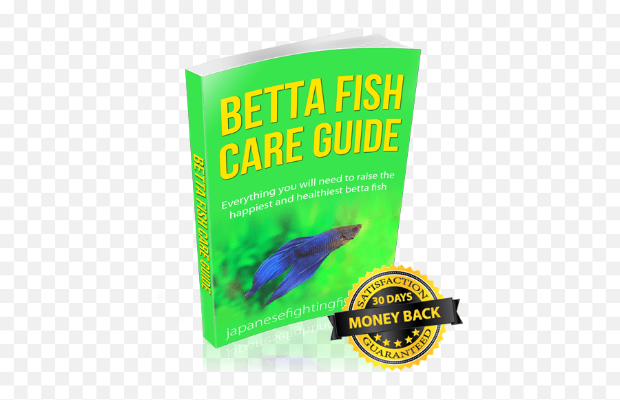 Betta Fish Book U2013 Everything You Need To Raise The Happiest - Book Cover Png,Betta Fish Png