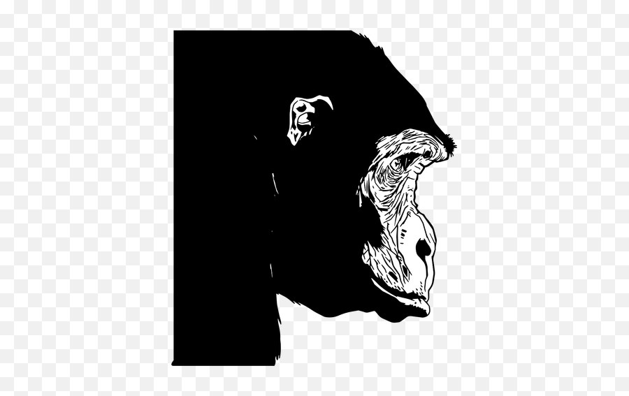 Gorilla Monkey Illustration - Transparent Png U0026 Svg Illustration,Gorilla Png