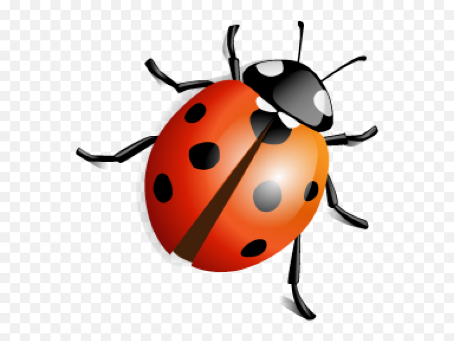Lady Bug Png Free Download 12 Images - Transparent Background Lady Bug Clip Art,Insect Png