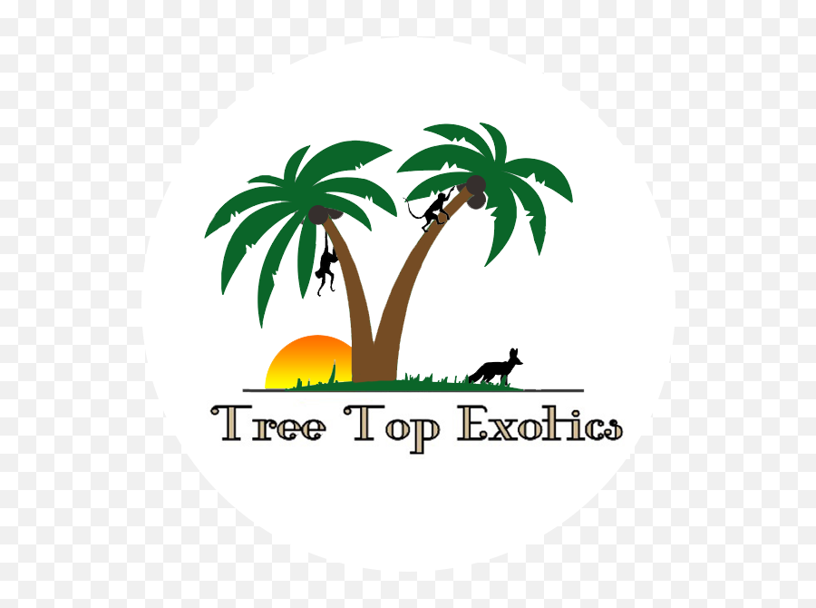 Home - Tree Top Exotics Poster Png,Tree Top Png