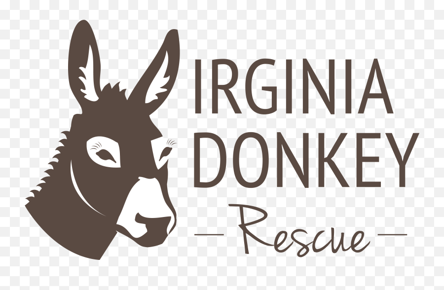 Download Donkeys For Sale In Virginia Beach Hd Png - Virginia Donkey Rescue,Burro Png