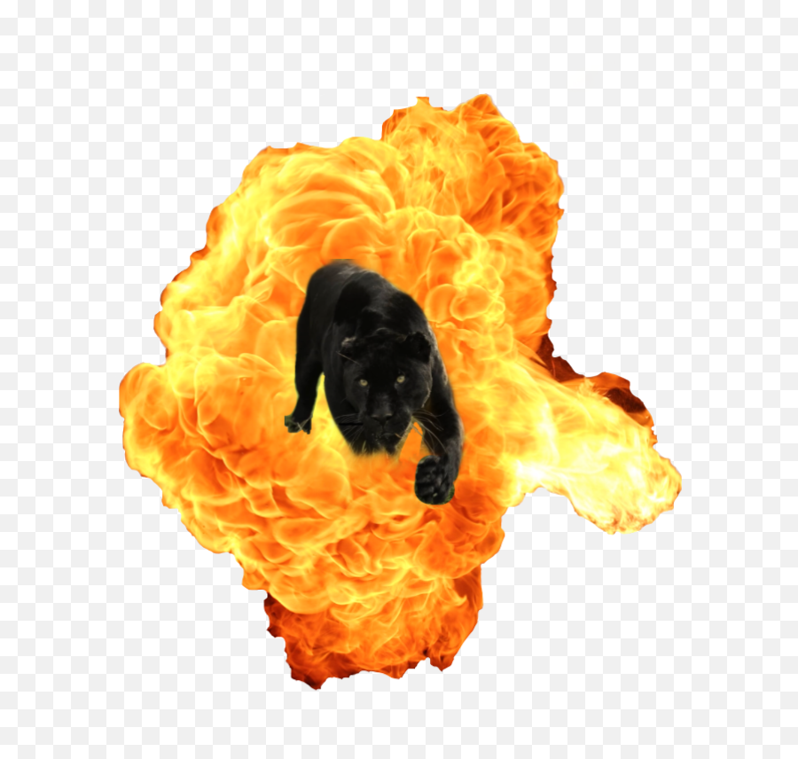 Fire Explosion Png - Explosions Png,Fire Explosion Png