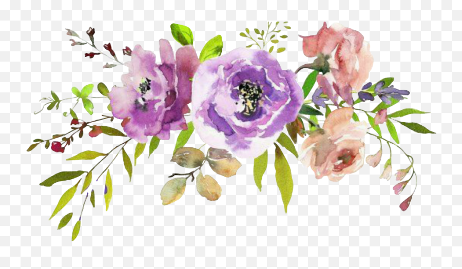 Flowers Png Watercolor Transparent Background