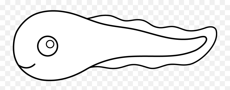 Tadpole Cliparts - Drawing Tadpole Png,Draw Png