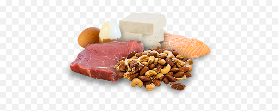 Protein - Protein Food Transparent Background Png,Protein Png