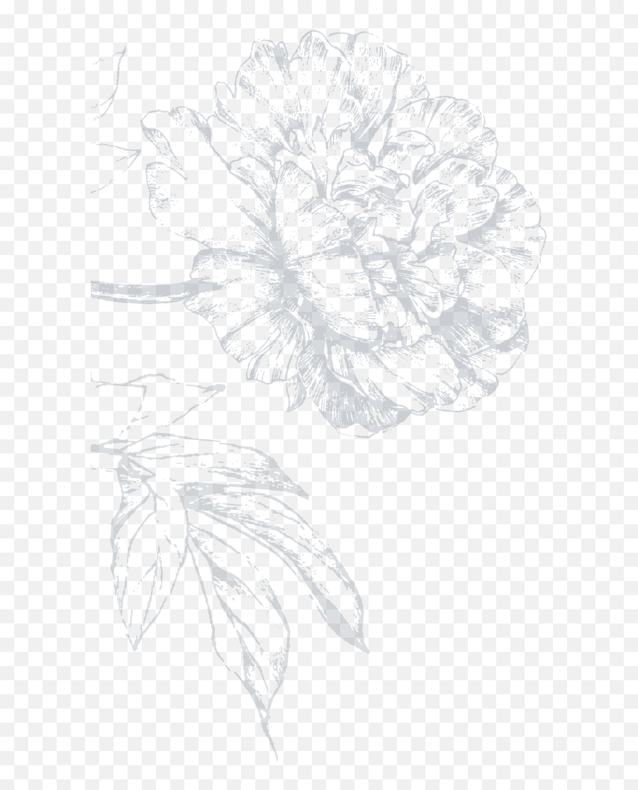 Leis De Buds Vancouver Flower Shop Bouquets Arrangements - Sketch Png,Transparent Black Flower Crown