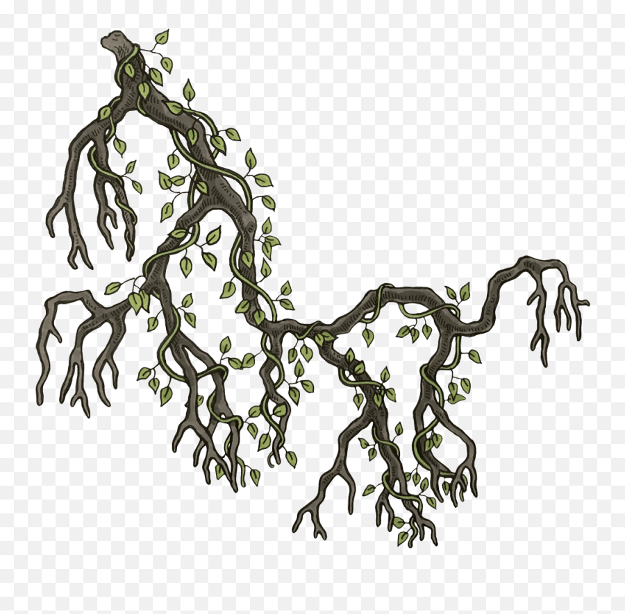 Outlaw King Dt Modern - Artistic Png,Wall Vines Png
