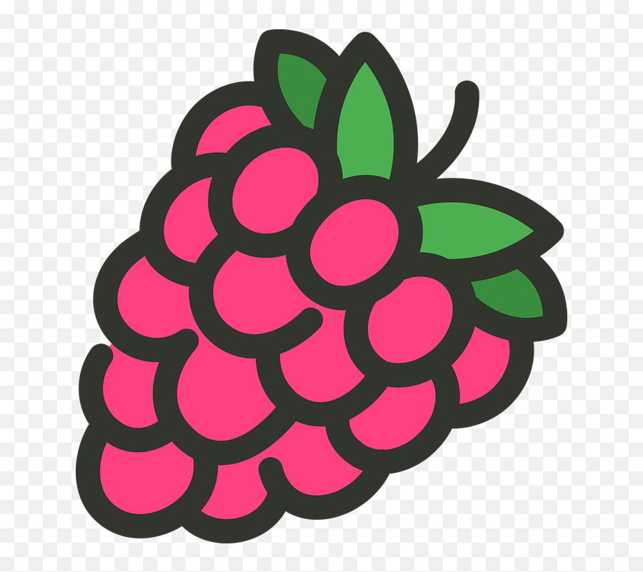 Friends - Raspberry Cartoon Png,Snapchat Icon Meaning