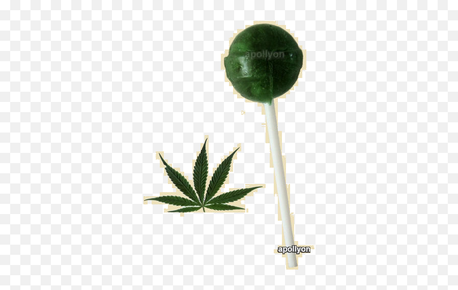 Cannabis Lollipop - Cannabis Png,Marijuana Plant Png