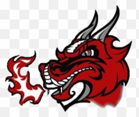 Dragons Girls Soccer - St George png