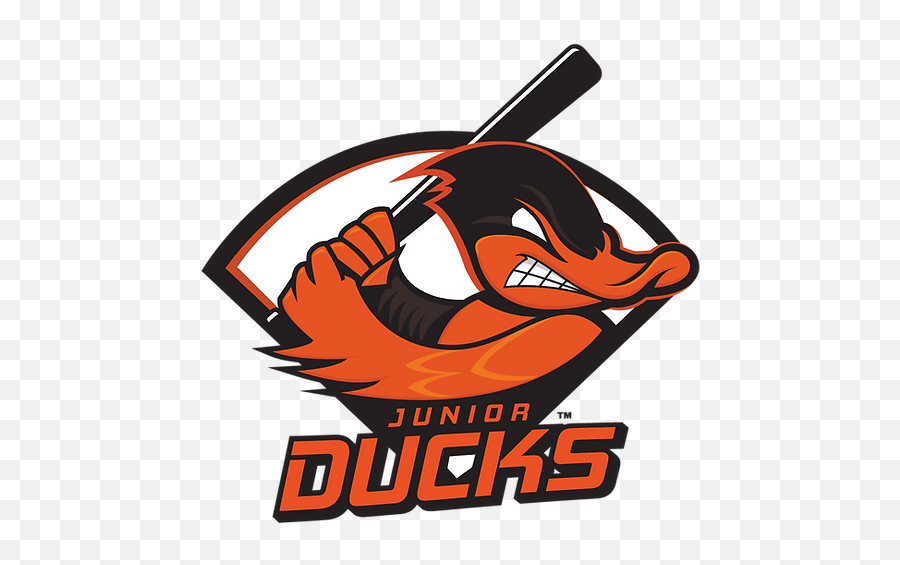 Tryout Information - Long Island Junior Ducks Png,Duck Game Icon