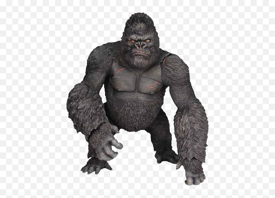 Background Gorilla 37893 - Free Icons And Png Backgrounds King Kong Jpg,Gorilla Transparent