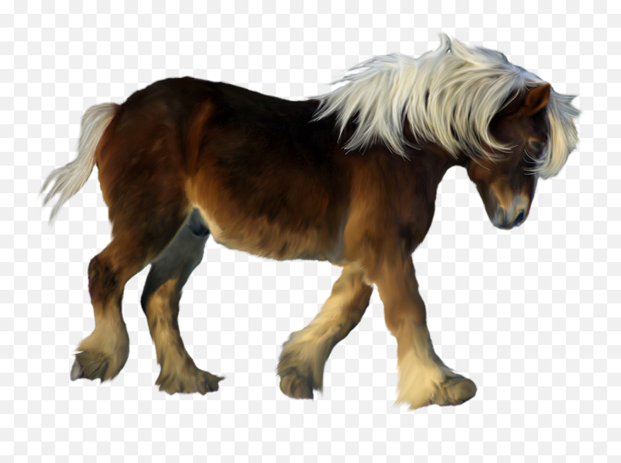 Download Pony Png Image With No - Transparent Background Pony Clipart,Pony Png