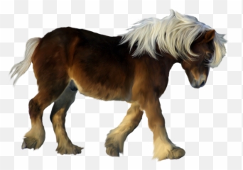 Download Pony Png Image With No - Transparent Background Pony Clipart,Pony Png