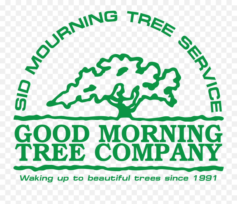 Canopy U0026 Streetsidewalk Raising Sid Mourning Tree Service - Intellicom Png,Tree Canopy Png