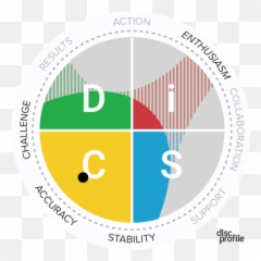 Discprofilecom - DiSC Profile Score png