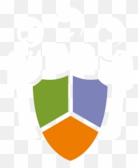Effective Cyber Risk Management And Supplier Governance - Language png