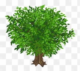 Clipart Grass Tree Picture 540068 - Transparent Background Green Tree png