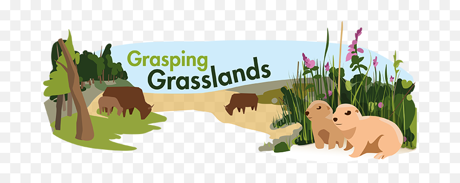 Grassland Biome Ask A Biologist Png Icon