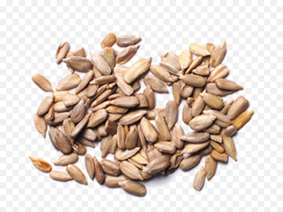 Sunflower Seeds Png Image - Purepng Free Transparent Cc0 Sunflower Seeds,Seed Png