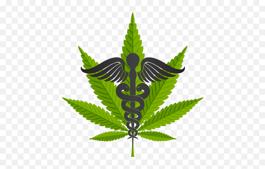 Cannabis Doctor Of Miami U2013 Medical Marijuana In - Marijuana Leaf Png,Cannabis Leaf Png