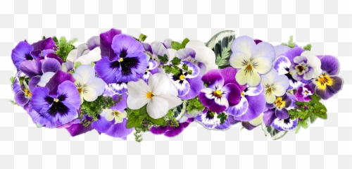 Flowers Decoration Line Of Png