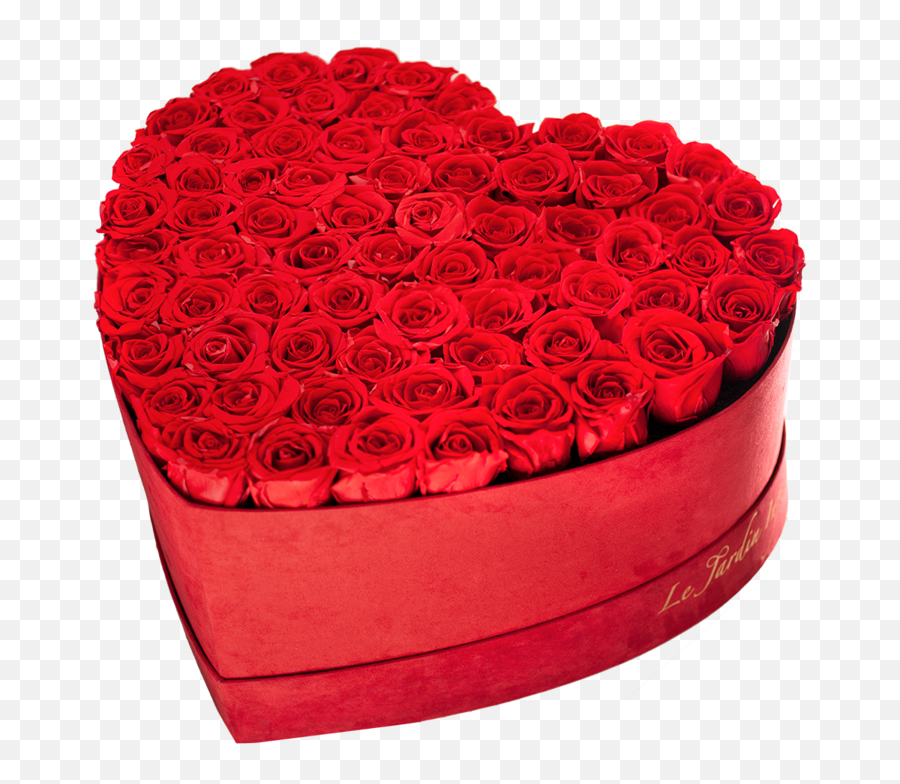 Medium Heart Red Suede Box With Preserved Roses - Heart Shape ...