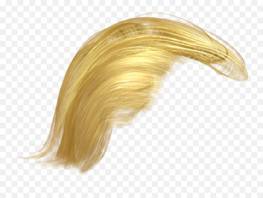 Donald Trump Hair Png Transparent - Donald Trump Hair Transparent Background,Donald Trump Hair Png