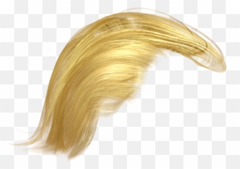 Free Transparent Donald Trump Hair Png Images Page 1 Pngaaa Com - download straight blond hair roblox girl blonde hair png free png images toppng