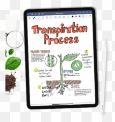 Goodnotes Homepage - Notability Ipad Pro png