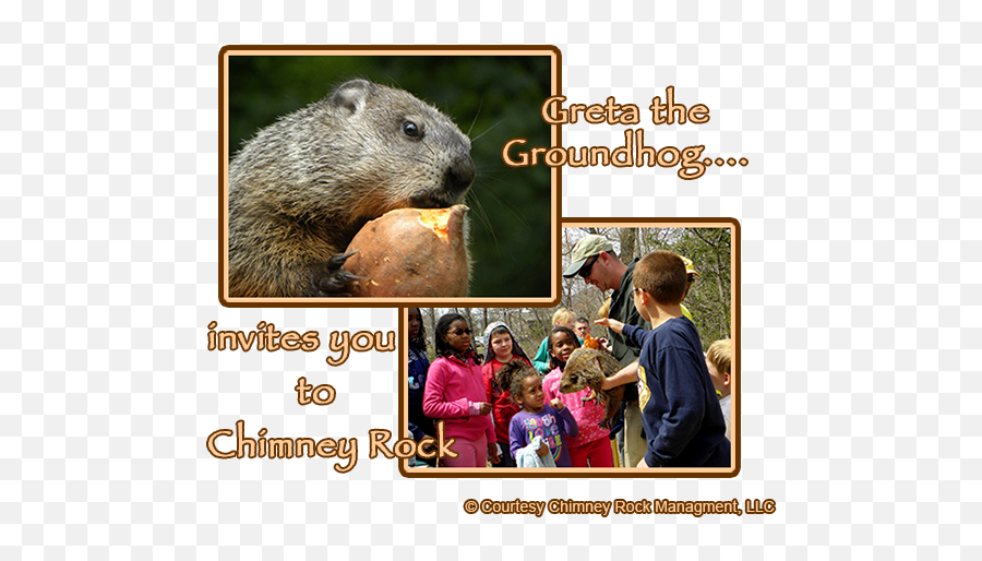 Chimney Rock - 15th Annual Greta Groundhog Day Highlander Punxsutawney Phil Png,Groundhog Png