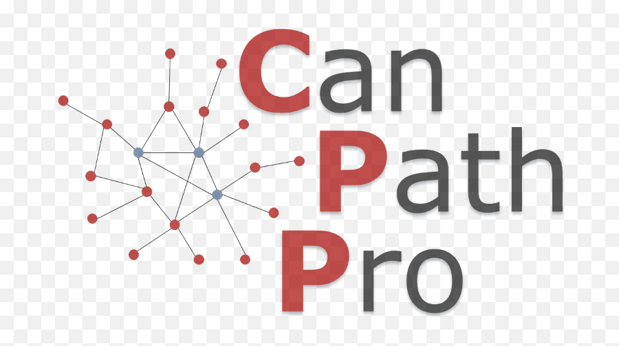 Canpathpro Generation Of The Canpath Prototype - A Platform Diagram Png,Pathway Png