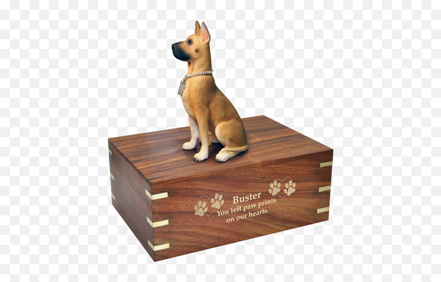 Download Dog Urn For Great Dane Shown Engraved In Gold - Dog Dog Breed Png,Great Dane Png