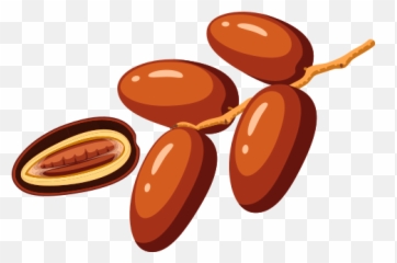 Fasting With Diabetes Onetouch - Cartoon Palm Date Png,Dates Png