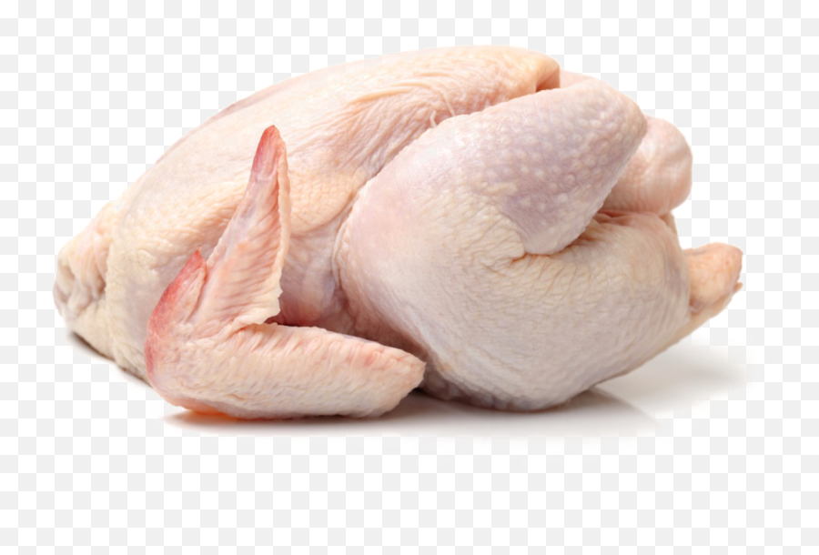 Chicken Meat Png Photo Arts - Transparent Chicken Meat Png,Hen Png