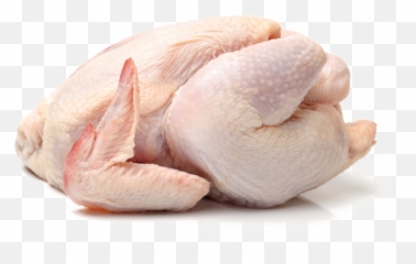 Chicken Meat Png Photo Arts - Transparent Chicken Meat Png,Hen Png