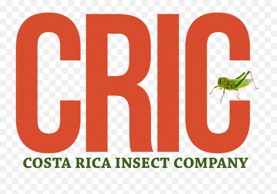Costa Rica Insect Company Accelerate2030 - Costa Rica Insect Company Png,Insect Png