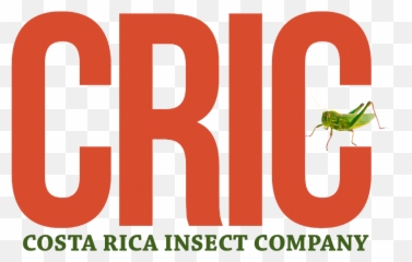 Costa Rica Insect Company Accelerate2030 - Costa Rica Insect Company png