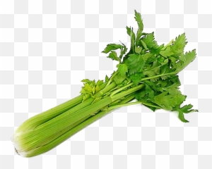 Download Celery Png Image - Transparent Background Celery Transparent,Celery Png