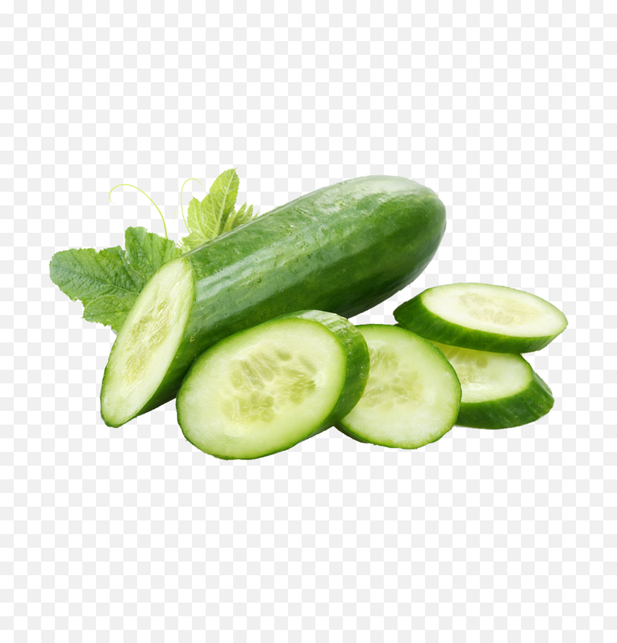 Cucumber Png Download - Transparent Background Cucumber Transparent,Cucumber Transparent
