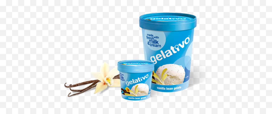 Vanilla Bean Gelativo - Ice Cream Png,Vanilla Bean Png