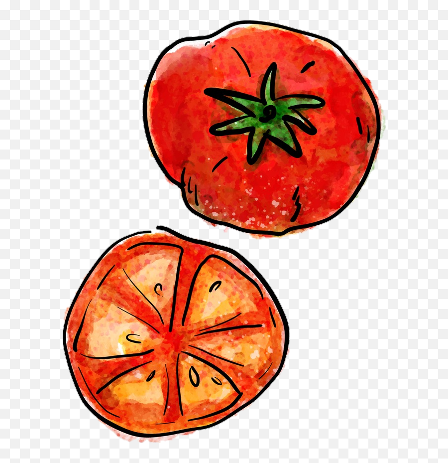 Tomato Tomatoes Sticker By Heirloom - Tomato Png Draw,Tomato Transparent Background