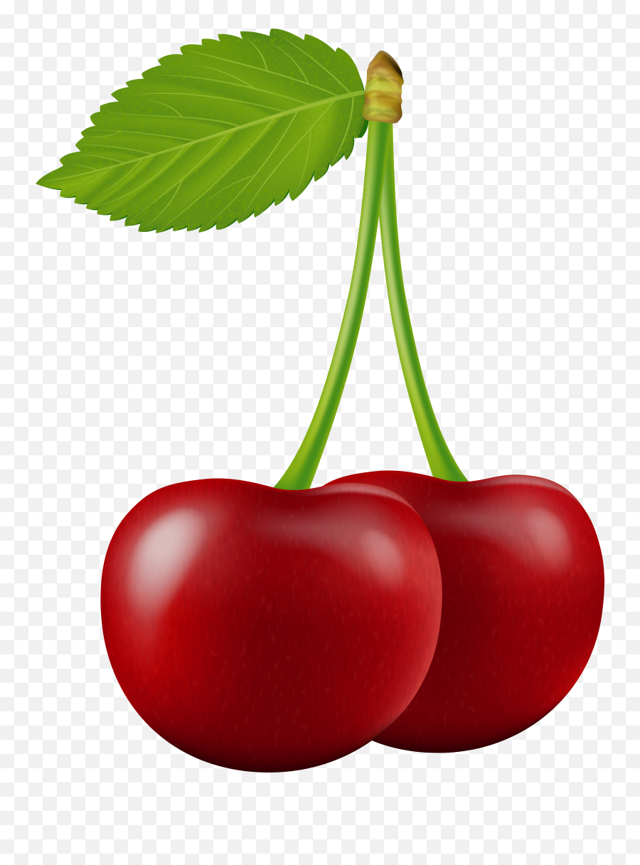 Cherries Clipart Transparent Background Clip Art Png - Transparent Background Cherries Clipart,Clipart With Transparent Background