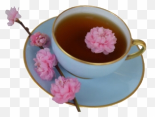 Tea Cup Drink Pink Sticker By U2022real Hot Boy Shitu2022 - Saucer Png,Teacup Transparent Background